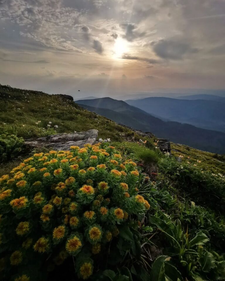 Szlaki Na Babi G R Cz Druga Szlak Czerwony